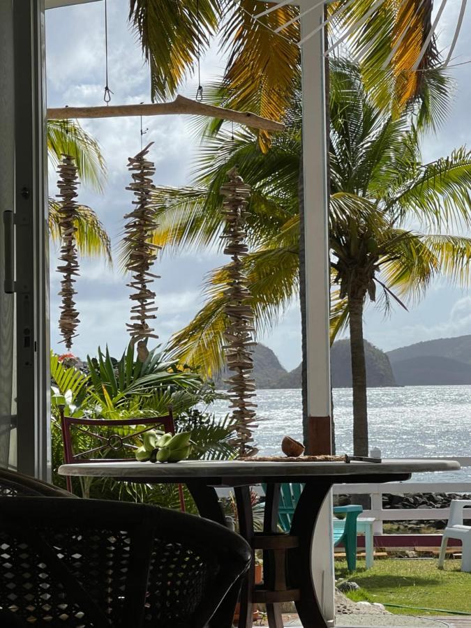 Blue Lagoon, Cottage Les Pieds Dans L Eau Terre-De-Haut Exterior photo
